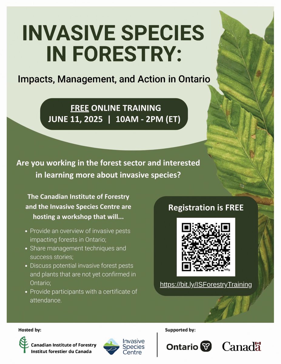 CIF-IFC (@cif_ifc) on Twitter photo In the forest sector & want to learn more about invasive species? Join a free online training co-hosted with <a href="/InvSp/">Invasive Species Ctr</a>: Invasive Species in Forestry: Impacts, Management, & Action in Ontario
📅 June 11 | 10am–2pm ET
Register: cif-ifc.org/events/invasiv…
#InvasiveSpecies #RootedInCIF In the forest sector & want to learn more about invasive species? Join a free online training co-hosted with <a href="/InvSp/">Invasive Species Ctr</a>: Invasive Species in Forestry: Impacts, Management, & Action in Ontario
📅 June 11 | 10am–2pm ET
Register: cif-ifc.org/events/invasiv…
#InvasiveSpecies #RootedInCIF