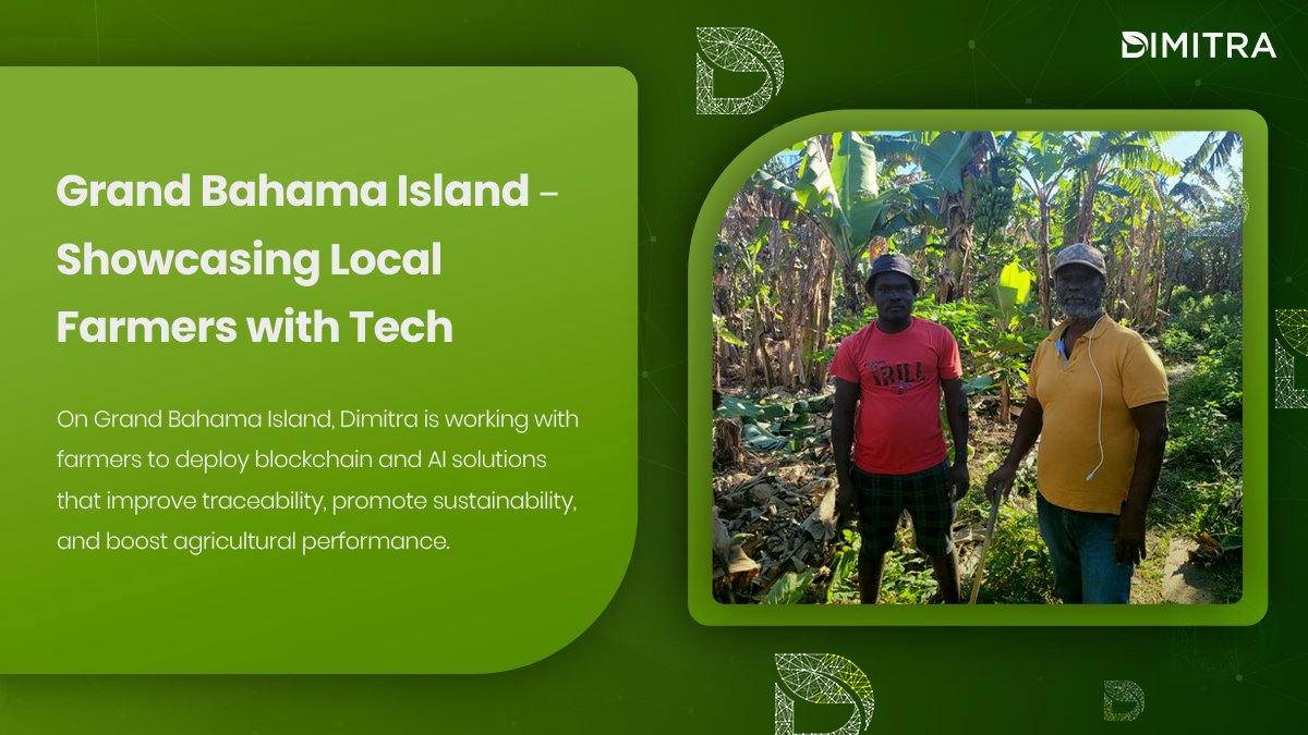 Grand Bahama Island – Showcasing Local Farmers with Tech. 🌱 On Grand Bahama Island, Dimitra is working with farmers to deploy blockchain and AI solutions that improve traceability, promote sustainability, and boost agricultural performance.

This is a prime example of $DMTR
