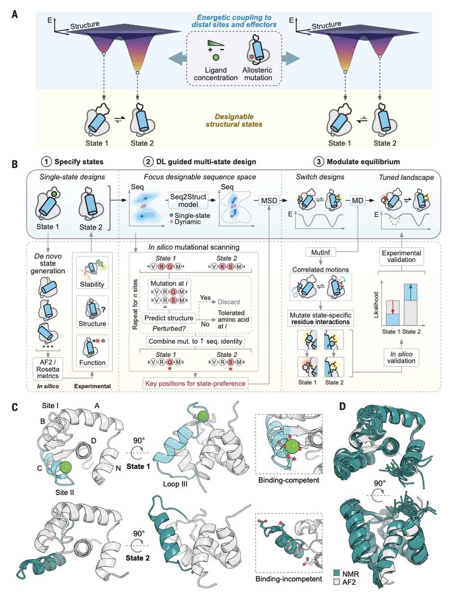 Biology+AI Daily (@biologyaidaily) on Twitter photo Deep learningāguided design of dynamic proteins <a href="/ScienceMagazine/">Science Magazine</a>
ļ¼ļ¼This work introduces a general deep learningāguided method for de novo design of dynamic proteins that switch between defined conformational states, mimicking mechanisms seen in natural signaling proteins such Deep learningāguided design of dynamic proteins <a href="/ScienceMagazine/">Science Magazine</a>
ļ¼ļ¼This work introduces a general deep learningāguided method for de novo design of dynamic proteins that switch between defined conformational states, mimicking mechanisms seen in natural signaling proteins such