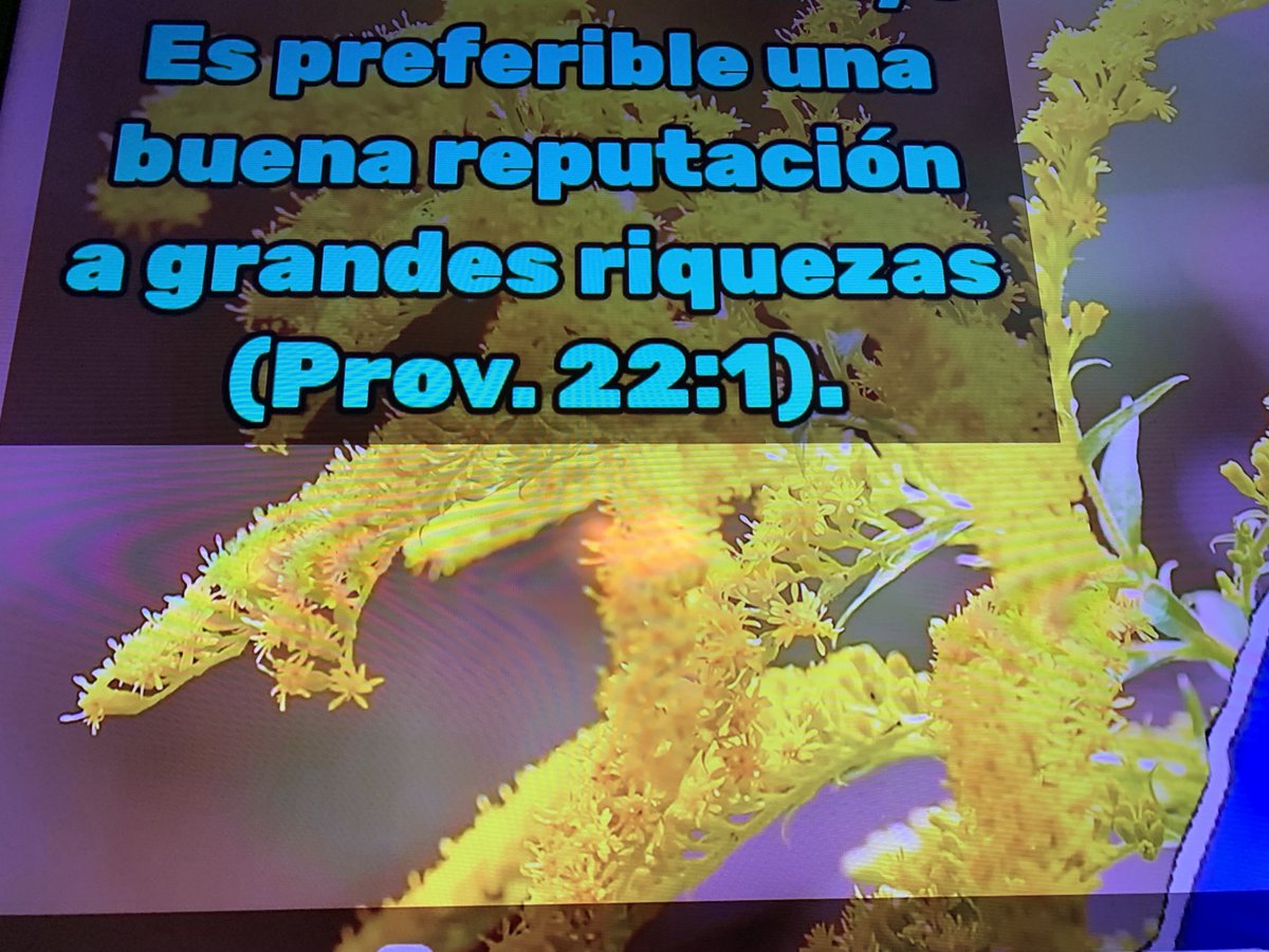 Nomas (@ariel_poll) on Twitter photo 