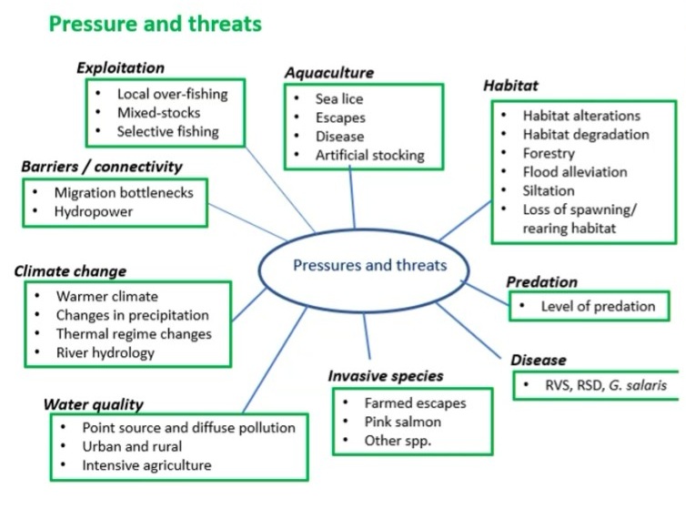 Inland Fisheries Ireland (@inlandfisherie) on Twitter photo π¨βπ¬ Dr Cathal Gallagher of <a href="/InlandFisherIE/">Inland Fisheries Ireland</a> today hosted a national stakeholder meeting on the status of wild Atlantic salmon.
Featuring:
π Scientific advice supporting national salmon mgmt
π New avenues for salmon research in Ireland: highlighting its economic and social value. π¨βπ¬ Dr Cathal Gallagher of <a href="/InlandFisherIE/">Inland Fisheries Ireland</a> today hosted a national stakeholder meeting on the status of wild Atlantic salmon.
Featuring:
π Scientific advice supporting national salmon mgmt
π New avenues for salmon research in Ireland: highlighting its economic and social value.
