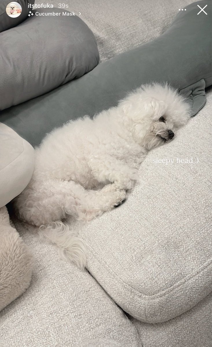 amberbrown__'s tweet image. โดนแม่แซวว่าอั่ยเด็กขี้เซาด้วย :) 

// อะไรเล็กน้อยๆแบบนี้สัมผัสได้เลยว่าจริงๆแล้วรัก+เอ็นดูหนอนบุ้งตัวนี้มาก หม๋าเด็กมันทำให้ทุกวันมีชีวิตชีวาขึ้นได้เยอะจริงๆนะ 

BLOSSOMING CHARLOTTE23
#ชาล็อตออสติน #CharlotteAustin