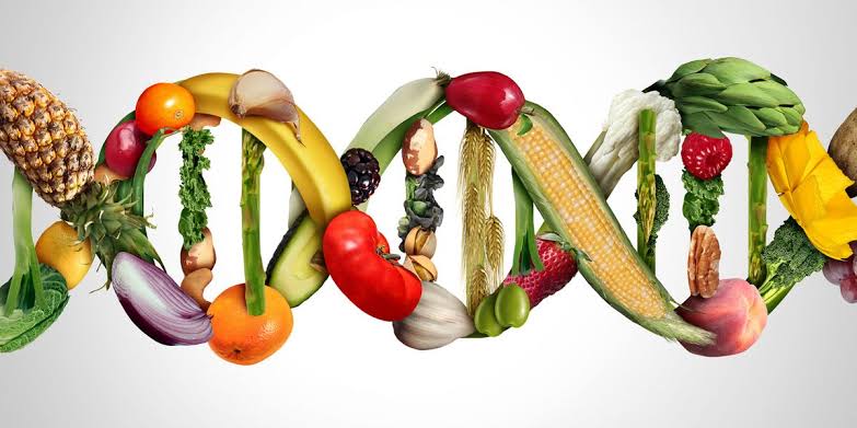 The Centre for Food Safety and Agricultural Research has issued a strong warning to Nigerian lawmakers, calling for immediate legislation to prohibit the use and distribution of GMOs  in the country.

Have a good read 👇

nationalupdate.ng/2025/05/12/foo…

#cefsar #bangmos #gmos