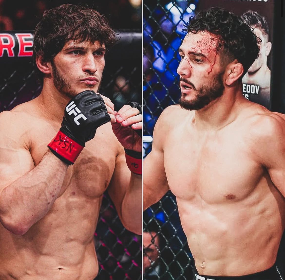 Pelunaton tweet media