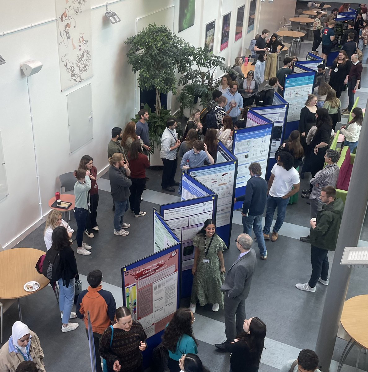 Antonia Feilden 🧪 🌱 ♻️ (@antoniafeilden) on Twitter photo Well done PGRs yesterday at <a href="/BiologyatYork/">Biology at York</a>'s 2025 Graduate Symposium 💚💫 Exceptional presentations/posters + inspiring science + enjoyable networking. Thanks for the opportunity to present + to help chair a session. Wishing all a lovely bank holiday 🌞 #PhD #Biology #scicomm Well done PGRs yesterday at <a href="/BiologyatYork/">Biology at York</a>'s 2025 Graduate Symposium 💚💫 Exceptional presentations/posters + inspiring science + enjoyable networking. Thanks for the opportunity to present + to help chair a session. Wishing all a lovely bank holiday 🌞 #PhD #Biology #scicomm