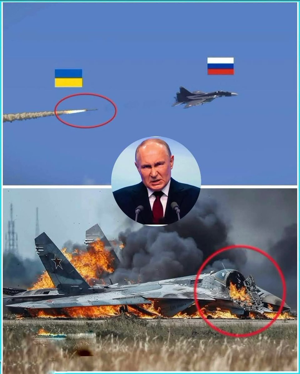 Olena Rohoza tweet media