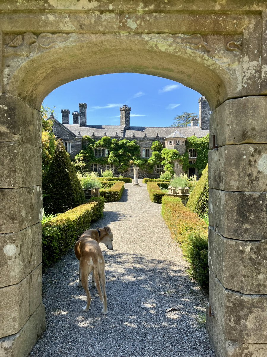 Come and find some peace, beauty and tranquility at Gwydir over the weekend. Ar agor dros y penwythnos. Open Sat, Sun &amp; BH Mon. 11-4pm. The roses are out and our halls are cool. It’s a perfect time to visit.