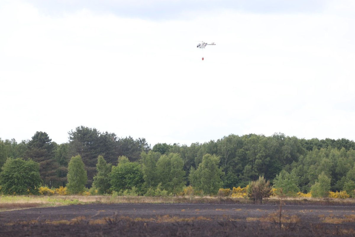 Gisterenavond is er een grote #heidebrand uitgebroken in de Mechelse Heide. Dankzij een snelle en grootschalige inzet van de brandweer is het vuur onder controle geraakt, al is er toch ongeveer 50 hectare heide afgebrand.  

Wees daarom uiterst voorzichtig als je de natuur