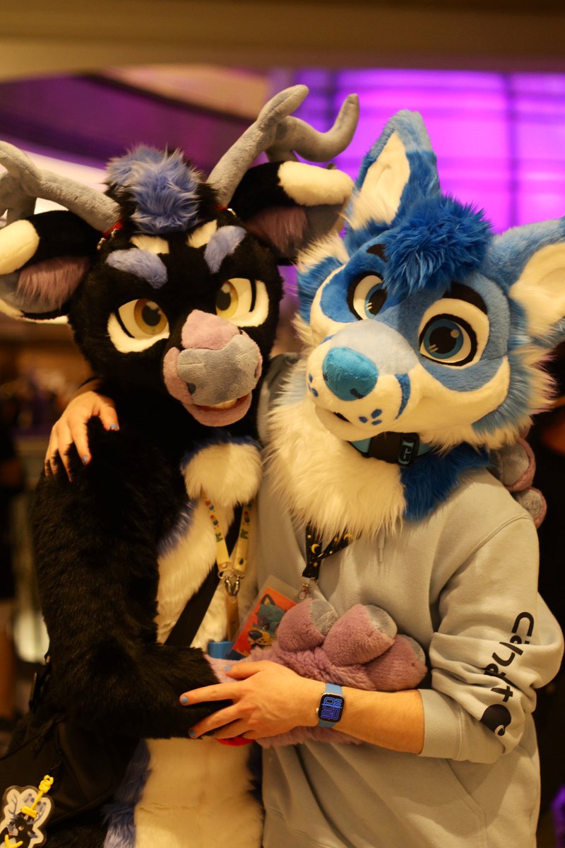 🦌&amp;🦊 (<a href="/northernbluefox/">North</a> bc I can’t tag this nerd in the photo)

Happy #FursuitsFriday :3