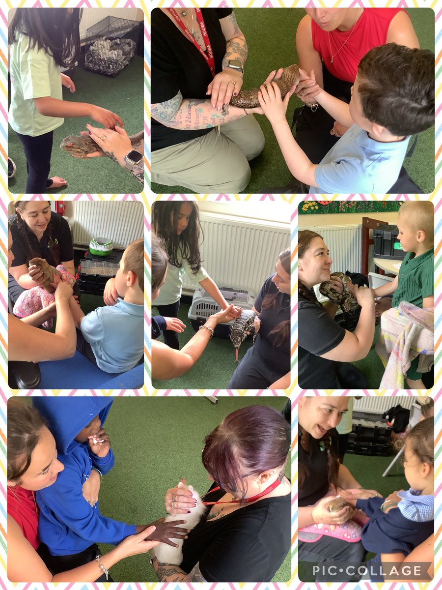 meadowbanksch's tweet photo. #MbSnowdropClass had a lovely time enjoying a visit with some furry, feathery and scaly friends from @AnimalCwtch today! We are so proud of all of you for being so brave ☺️🐍🦉 https://t.co/XRHZlXeAxk