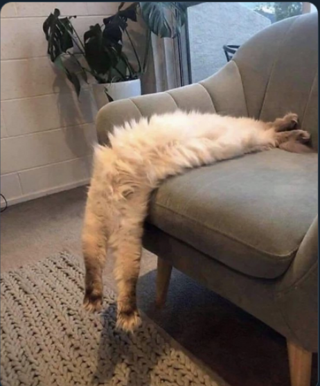 Bruce Clark 💧 tweet media