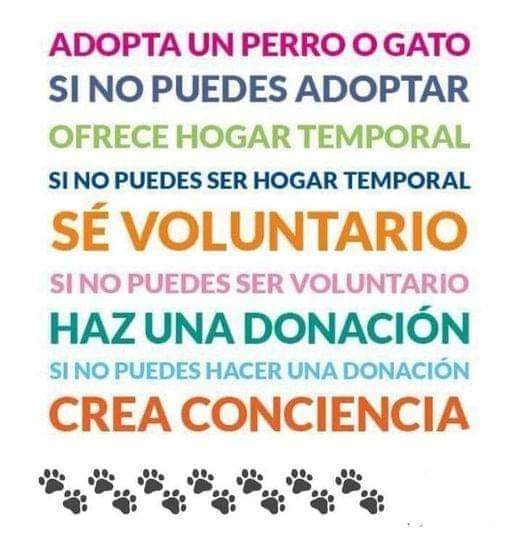 Adopta y salva una vida ♥️🐾