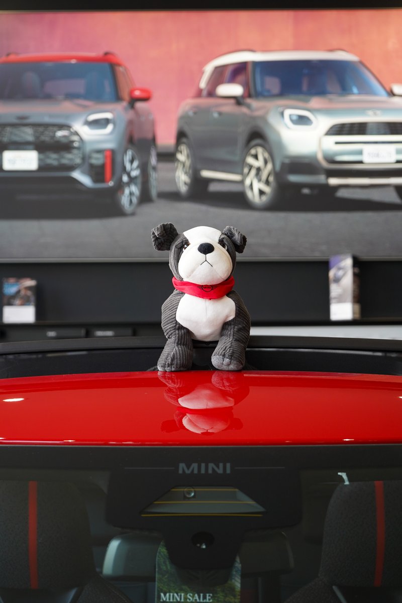 haminigroup's tweet photo. Winston is ready for his next #MINIAdventure... Are you?

Explore our MINI Family range today at Stephen James MINI.

Book your test drive today at https://t.co/ZOYgzBZGE3

#StephenJamesMINI #MINI #MINILove #MINIOwners #Winston #TestDrives #Enfield #Woolwich #Sidcup https://t.co/xRfwGO69n7