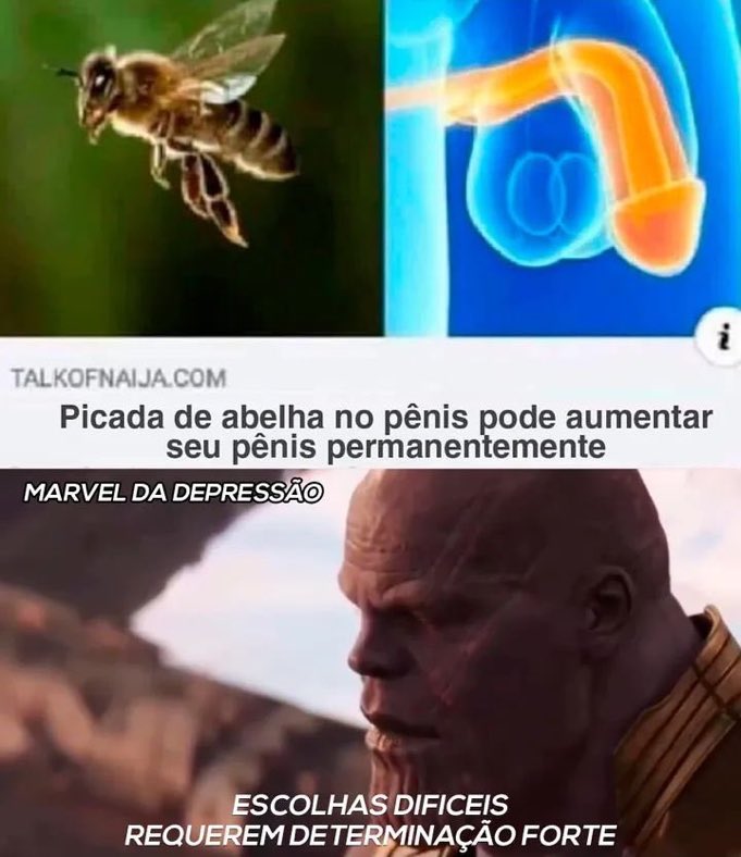 Memes Libidinosos (@memeslibidinoso) on Twitter photo 