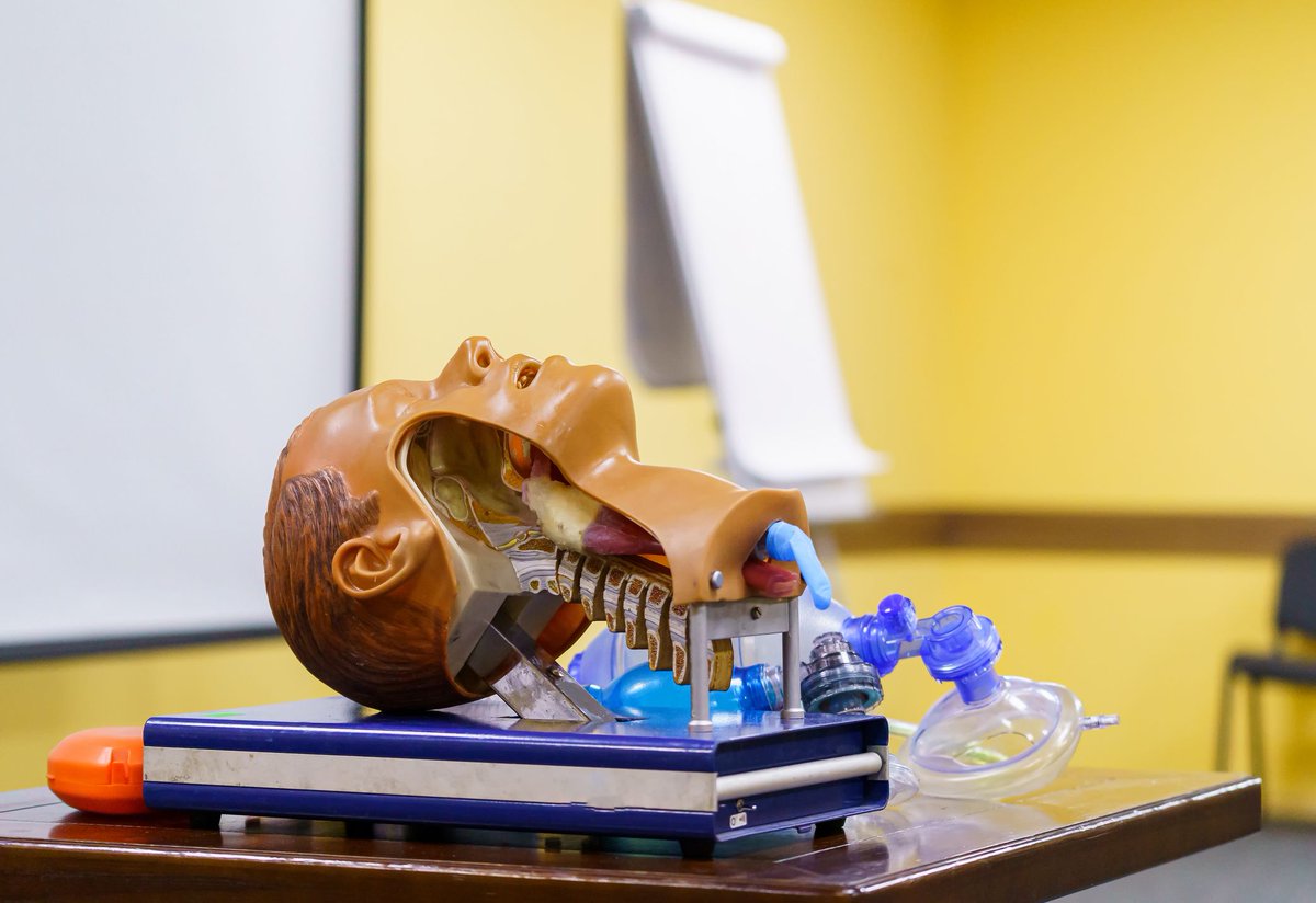 Association of Anaesthetists (@assoc_anaes) on Twitter photo Our response to <a href="/NHSEngland/">NHS England</a>'s Medical Training Review highlights the current lack of training places, the inflexibility of training and the need for SAS doctors to be included in this work.
Read it here 🔗 buff.ly/YCYd4hu Our response to <a href="/NHSEngland/">NHS England</a>'s Medical Training Review highlights the current lack of training places, the inflexibility of training and the need for SAS doctors to be included in this work.
Read it here 🔗 buff.ly/YCYd4hu