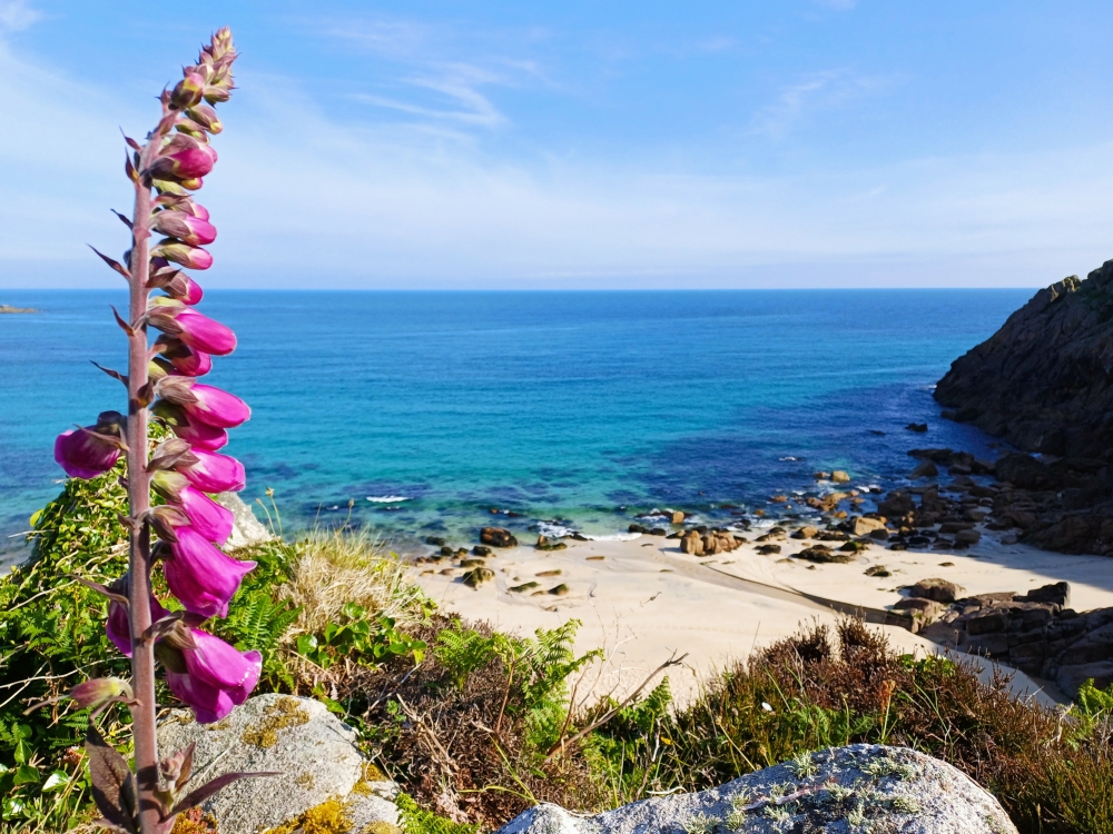 Bit lovely here today #WestisBest <a href="/TinCoastNT/">Tin Coast NT</a> <a href="/NTSouthWest/">National Trust South West</a> <a href="/bbcweather/">BBC Weather</a>  <a href="/BBCCornwall/">BBC Cornwall</a>