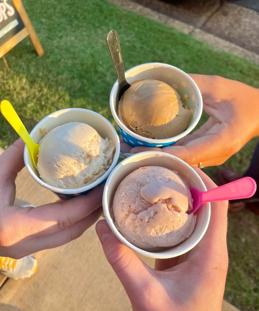 "lets meet up at Dolce." made it out of the group chat✨️ 

@sweetmagnoliagelato #gelato #icecream #dessert #gelateria #gelatoitaliano #icecreamlover #sweet #yummy #delicious #gelatolovers #dolce #dolcestarkville #cottondistrictstarkville #sweettreat #sweettreatinstarkville
