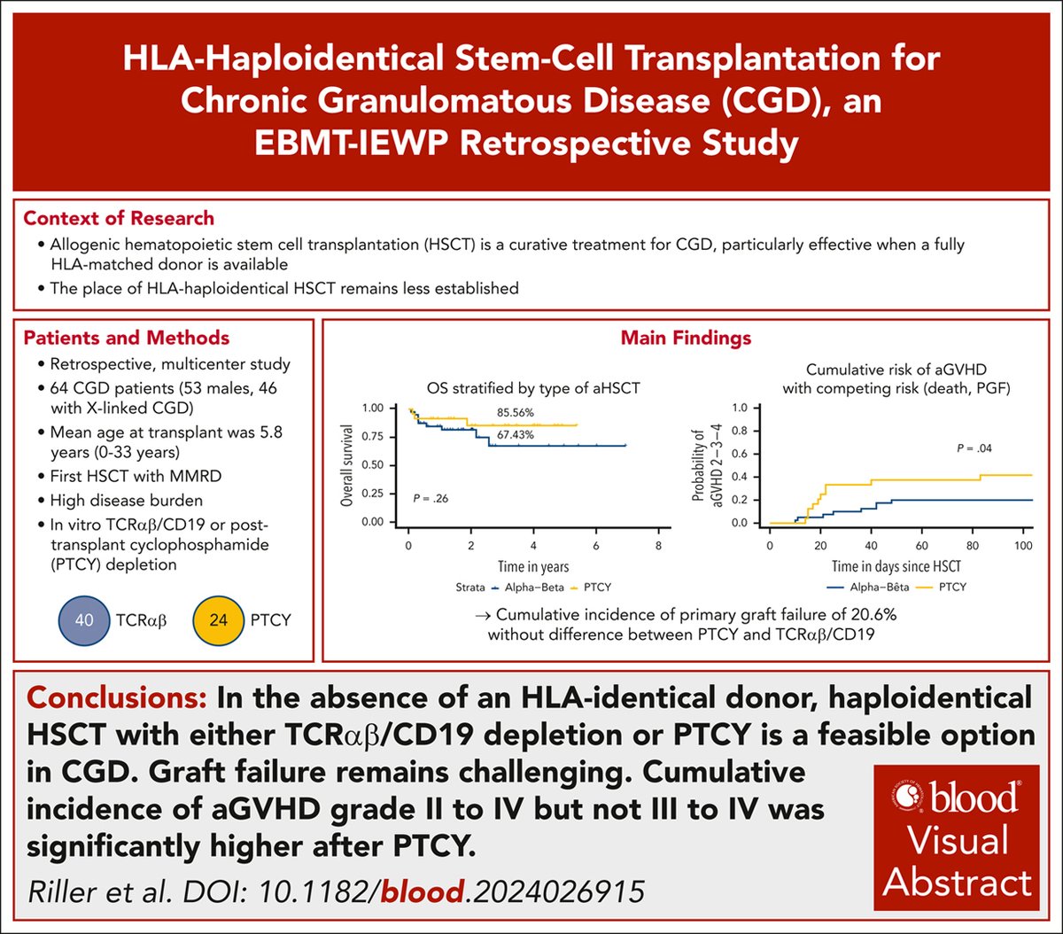 Blood Journal (@bloodjournal) on Twitter photo In the absence of an HLA-identical donor, haploidentical HSCT with either TCRαβ/CD19 depletion or PTCY is a feasible option in CGD. ow.ly/t17w50VXkhp #transplantation #phagocytesgranulocytesandmyelopoiesis In the absence of an HLA-identical donor, haploidentical HSCT with either TCRαβ/CD19 depletion or PTCY is a feasible option in CGD. ow.ly/t17w50VXkhp #transplantation #phagocytesgranulocytesandmyelopoiesis