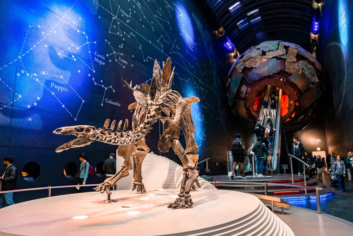 Paola_Glmnn's tweet photo. #SceneDaMuseo
#VentagliDiParole
@VentagliP
Natural History Museum, Londra https://t.co/dQAJynbDLf