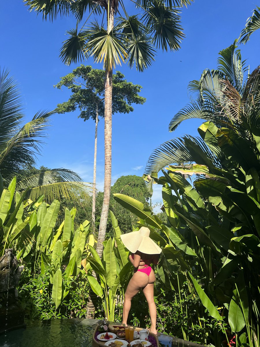 preddie_k's tweet photo. 🌴 ☀️ 🍑 https://t.co/HeX9X5wY0U