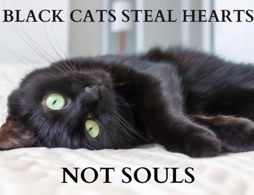 🖤 🖤 🖤