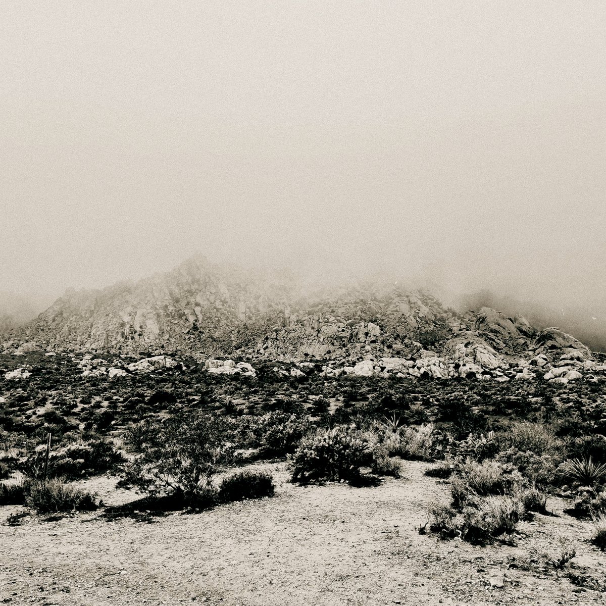 MIZMOR - Mnemonic: Ambient Mosaic out on limited vinyl/digital/cassette on June 27.

A collection of A.L.N.'s early ambient/dronescapes.

Pre-orders/audio here: linktr.ee/mizmormnemonic