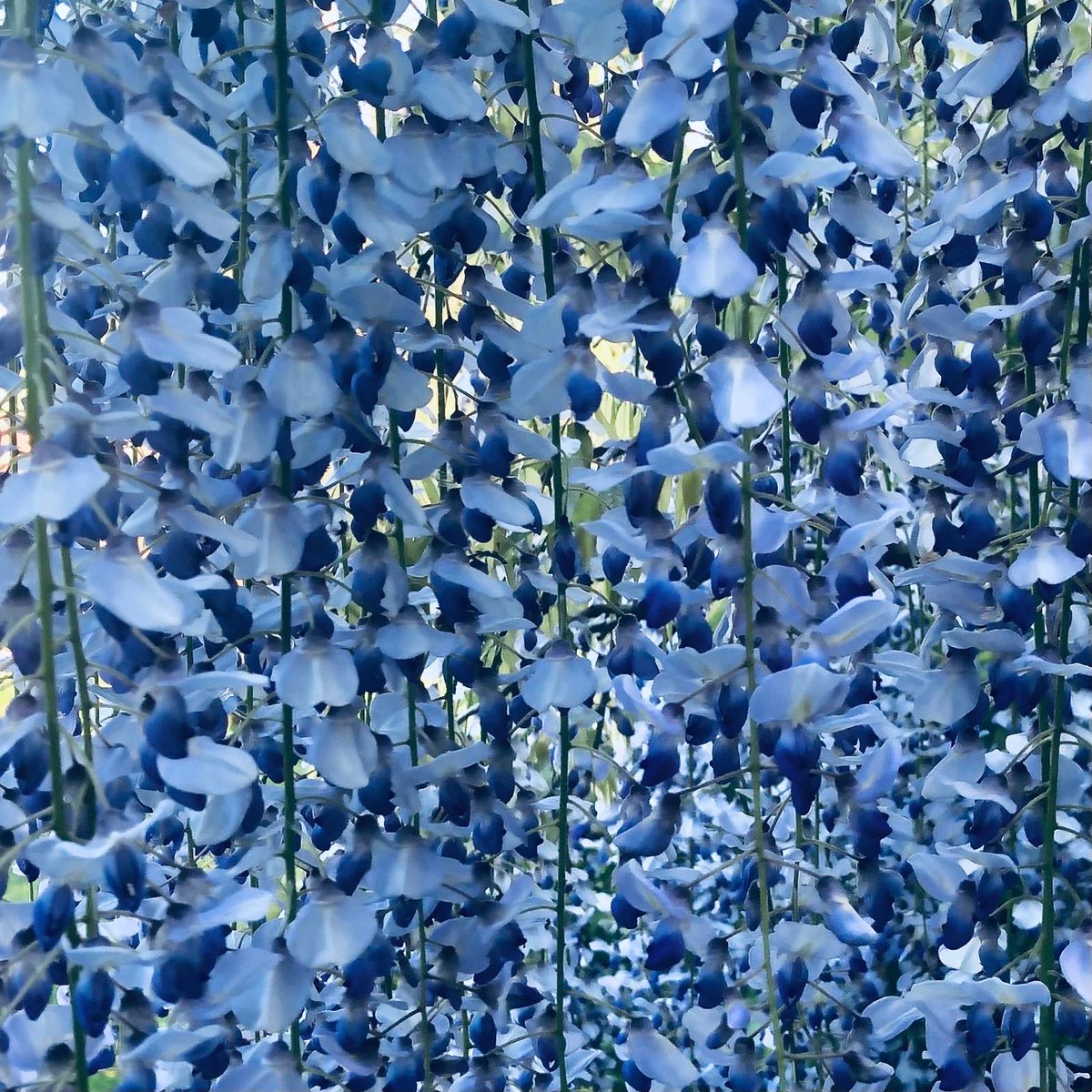 Andrew Jackson tweet media