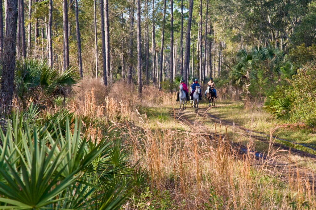 Florida Politics (@fla_pol) on Twitter photo This isn’t the first time our public lands have been fast-tracked for development. And it won’t be the last.
<a href="/Greg_Knecht/">Greg Knecht</a> (<a href="/nature_org/">The Nature Conservancy</a>): Floridians spoke up — nature is our common ground
floridapolitics.com/archives/73964…
#FlaPol This isn’t the first time our public lands have been fast-tracked for development. And it won’t be the last.
<a href="/Greg_Knecht/">Greg Knecht</a> (<a href="/nature_org/">The Nature Conservancy</a>): Floridians spoke up — nature is our common ground
floridapolitics.com/archives/73964…
#FlaPol