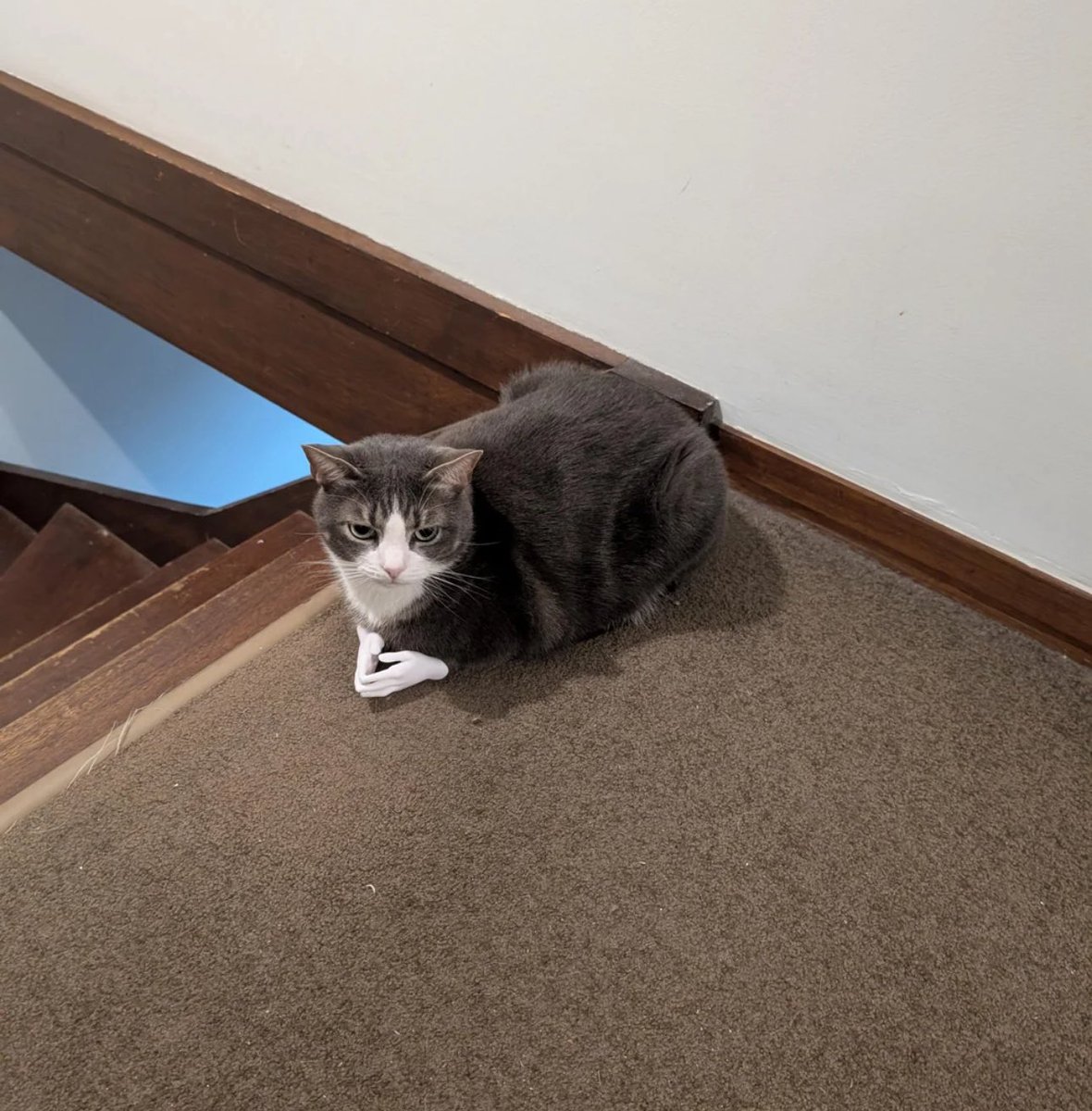 This is how I’m gonna wait for my kids when they’re out past curfew