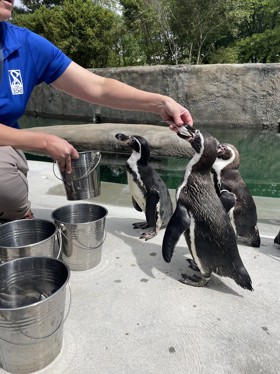 Sophia Szabo tweet media