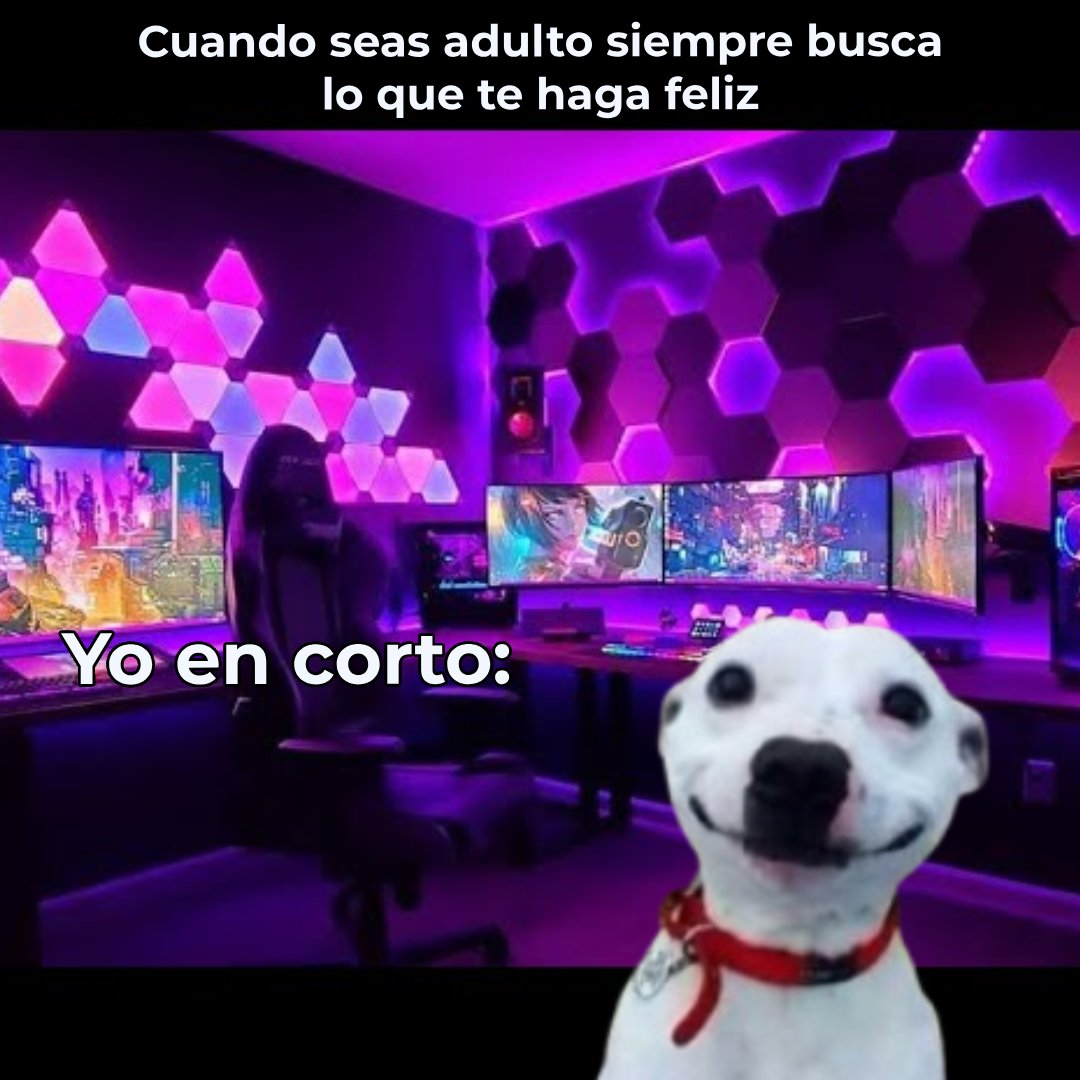 Cyberpuerta's tweet image. Te levantas, ves tu PC... efectivamente la vida es buena. 😎

#Cyberpuerta #PCUpgrade #MonitorCurvo #SillaGamer