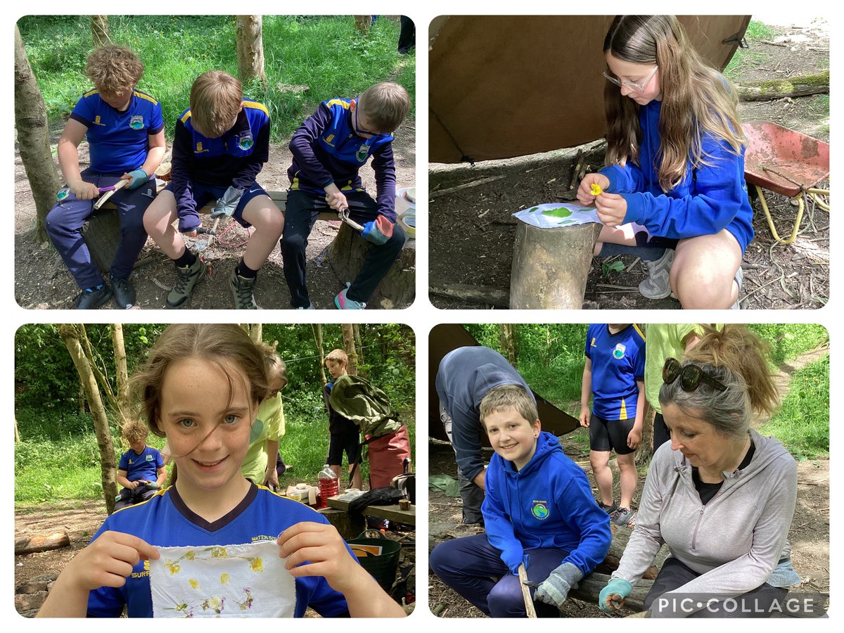 Water Primary tweet media