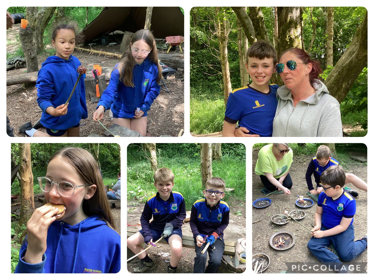 Water Primary tweet media