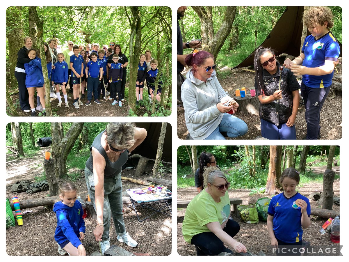 Water Primary tweet media