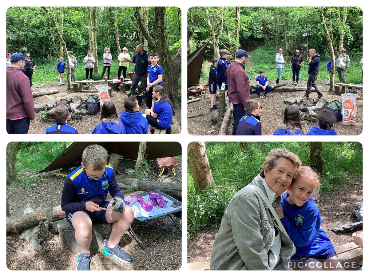 Water Primary tweet media