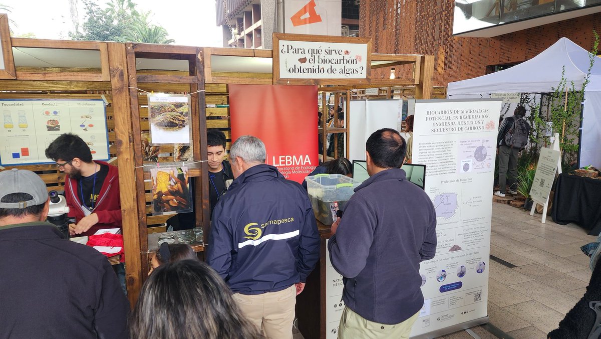 Loretto Contreras Porcia tweet media