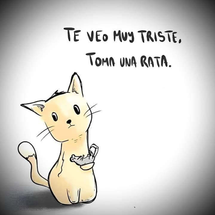 elRubsRamone's tweet image. Wenos dias powerosos #ElMejorPoderoso
Mala onda lo de su viaje, pero la neta que chingon que se quedó chef @ruleiro 👨🏻‍🍳
@eltalcha