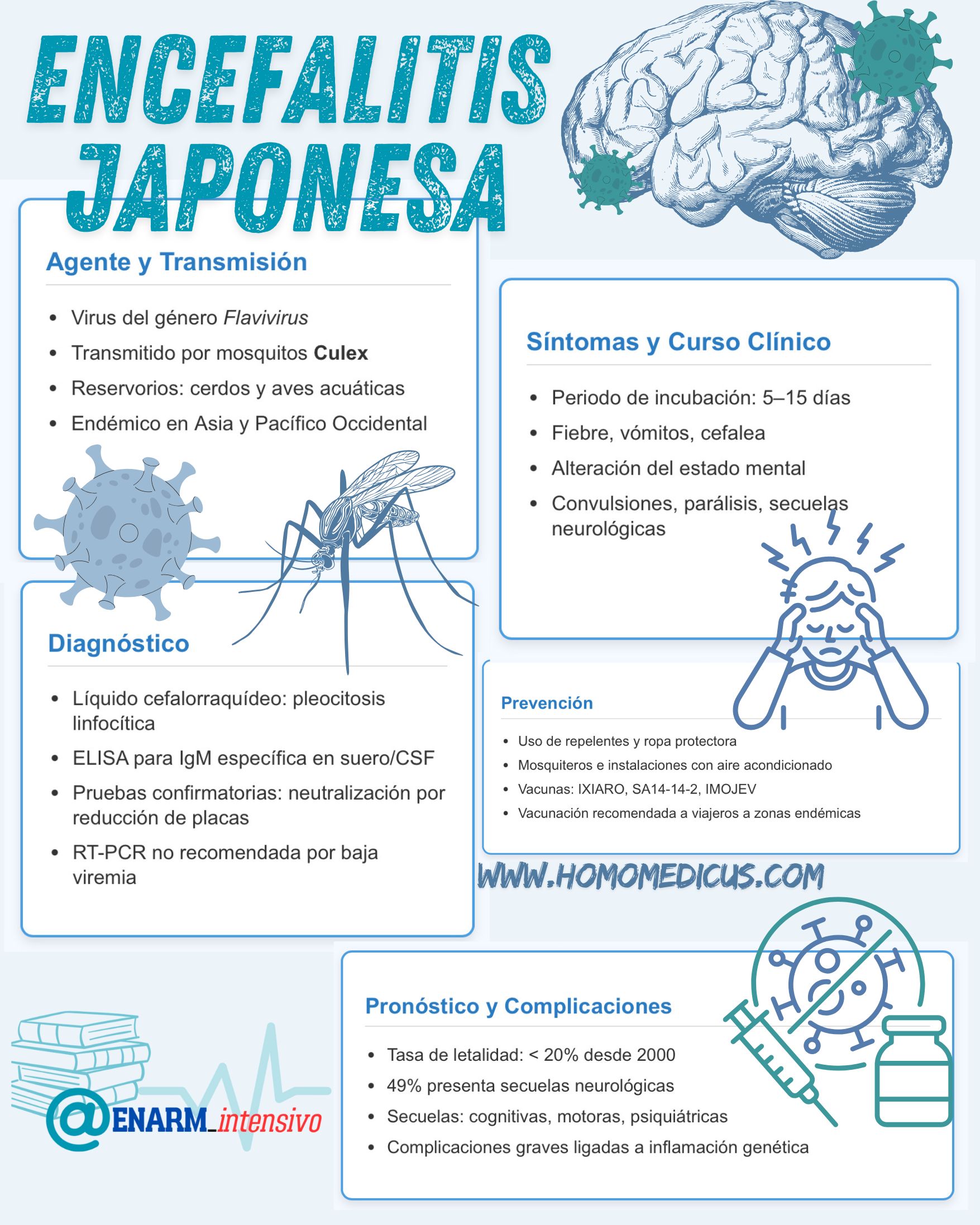 🎴TARJETA DE REPASO: ENCEFALITIS JAPONESA