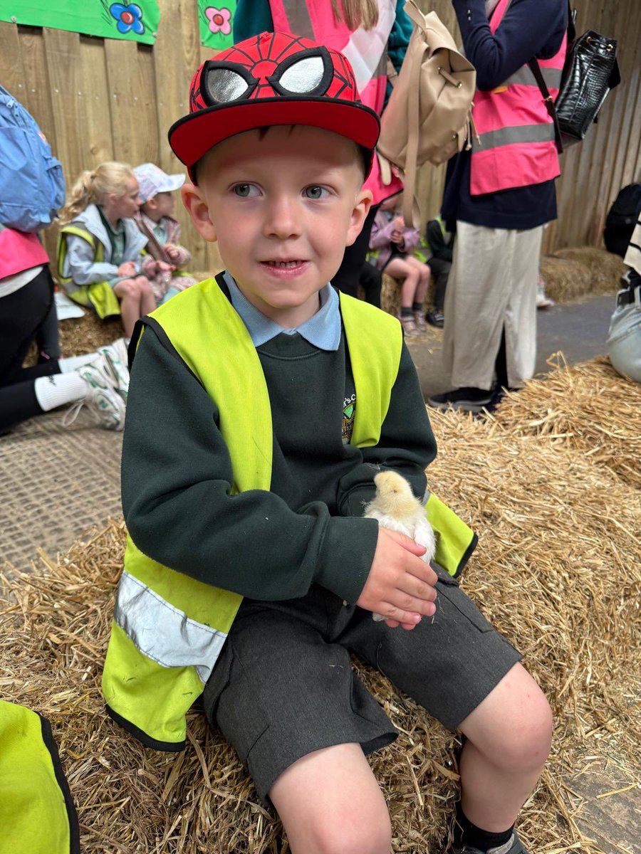 Reception Green have had the most amazing day on the farm! <a href="/stpetersfarn/">St.Peter's Farnworth 👩‍🎓💚💙❤️✨</a>