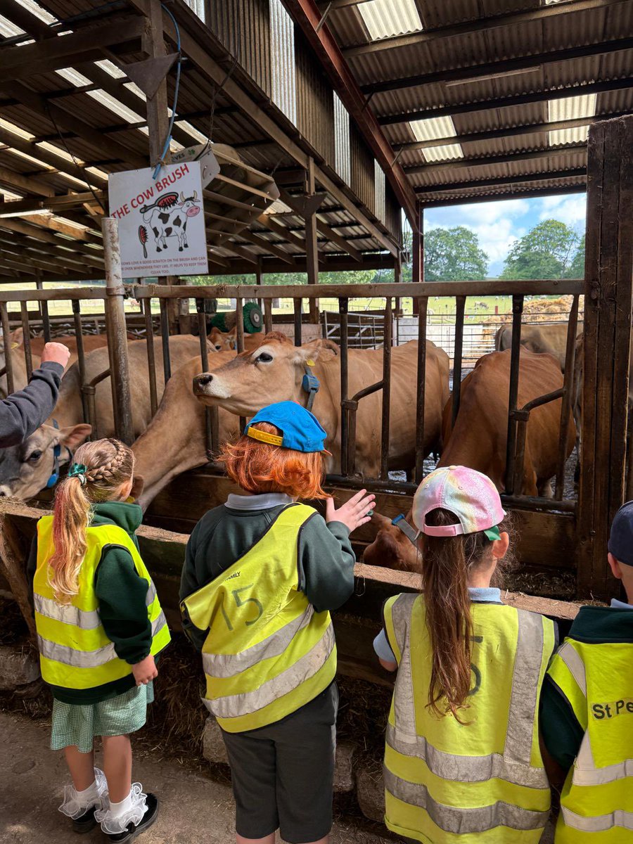 Smiles all round! <a href="/stpetersfarn/">St.Peter's Farnworth 👩‍🎓💚💙❤️✨</a>
