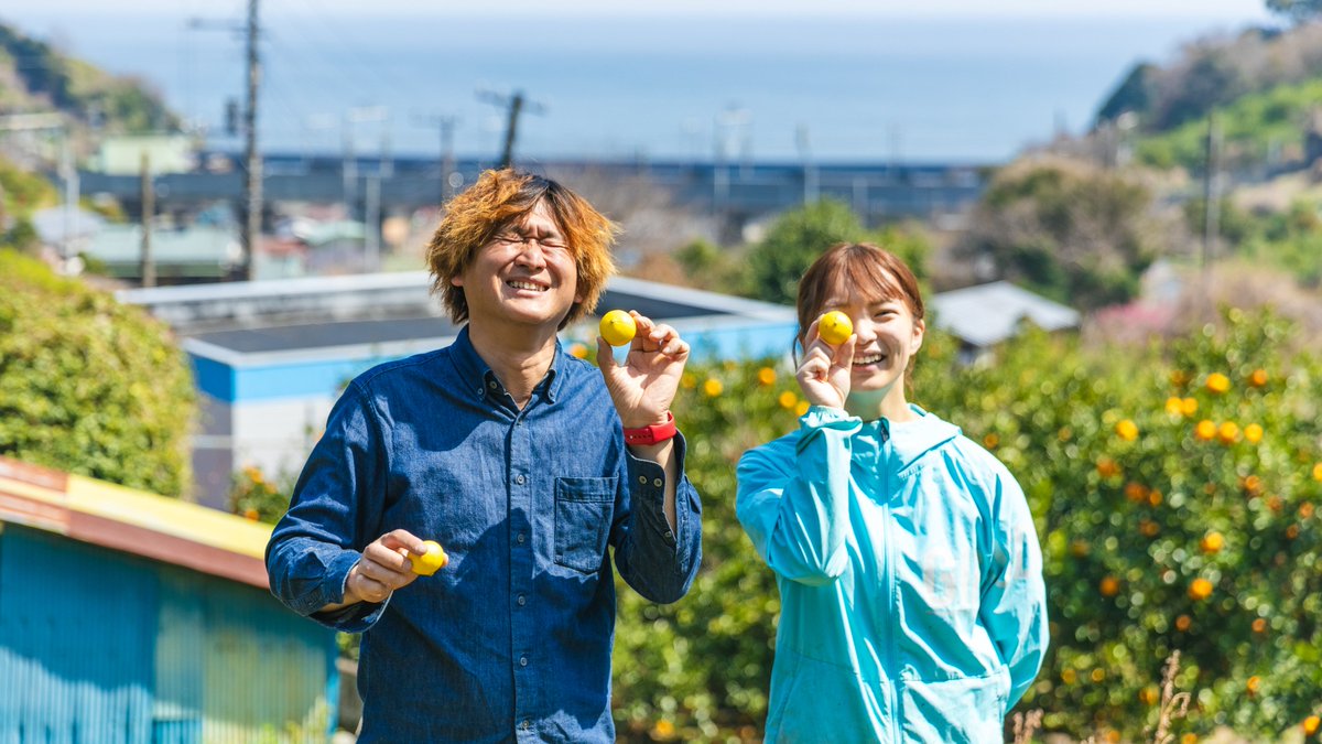 安井信介 tweet media