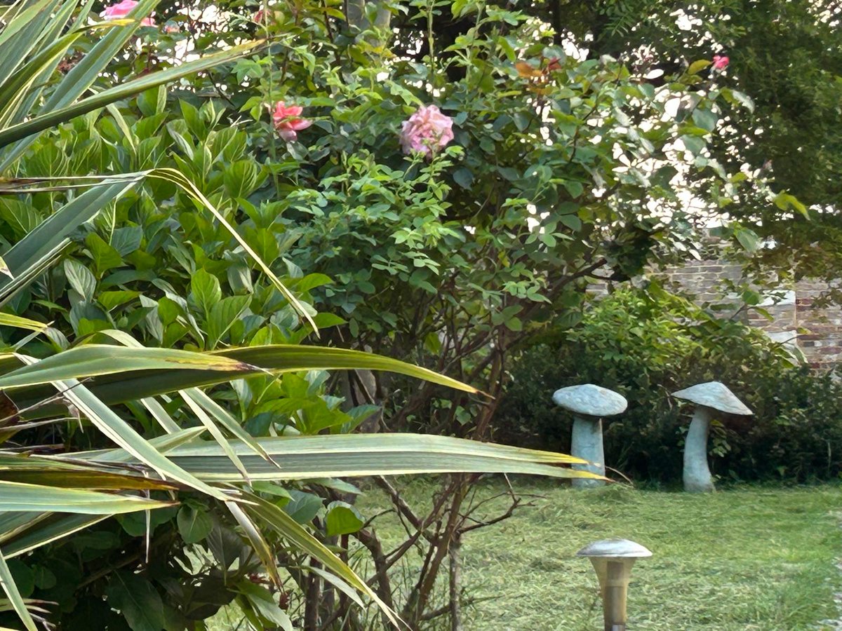 slimmeria's tweet photo. Our amazing garden suite is available with its secret gardens 22nd June and 13th July. Prices from £995 for 4 days.
#slimmeria #detox #weightloss #fitness https://t.co/afyKiQR5ms