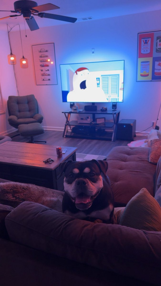 boostetti's tweet image. happiest pup ever