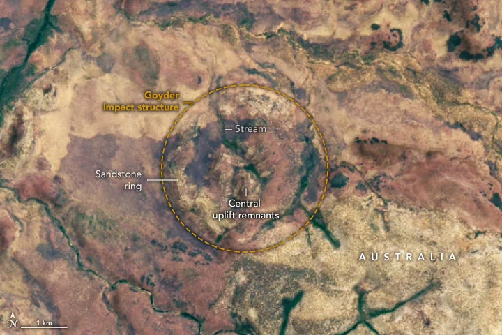 A satellite image shows the land surface of part of Australia’s Northern Territory. A yellow circle in the center of the image highlights the location of the Goyder impact structure, the eroded remnants of the central uplift portion of an impact crater. The central uplift remnants appear as small hills in the center of the circle, with a light-colored ring of sandstone surrounding them. Most of the dry-looking surface is tan or red, but stream valleys are green. The image was acquired by Landsat 8 on November 6, 2024.