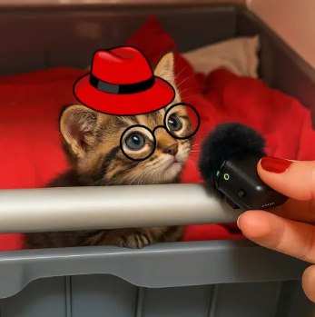 IMICKEY91's tweet photo. ๐ Insider Signal Spotlight ๐
๐ #ECONKITTY
๐งฒ CA: AZNkqKNdJePGL3SSmDaUUBbpo9rLbxd8hnY61ztbpump
๐ก๏ธ SOL: 21.34
๐ฆ MC: โ ๐ต MC : $21,307
๐ Signal & ๐ Quick Buy ๐๐ https://t.co/m0P672MWxn ๐
โ
- Monitor the big players and copy their steps. - โ
https://t.co/jgPbDlzggL