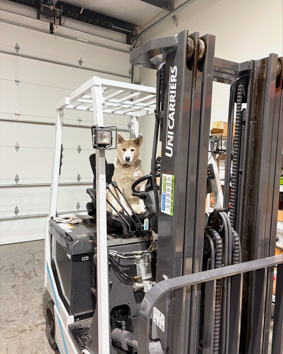 When we promise a lead time, it’s all hands (and paws) on deck. No freeloaders! 💪🐾📦🤪 #forkliftcertified