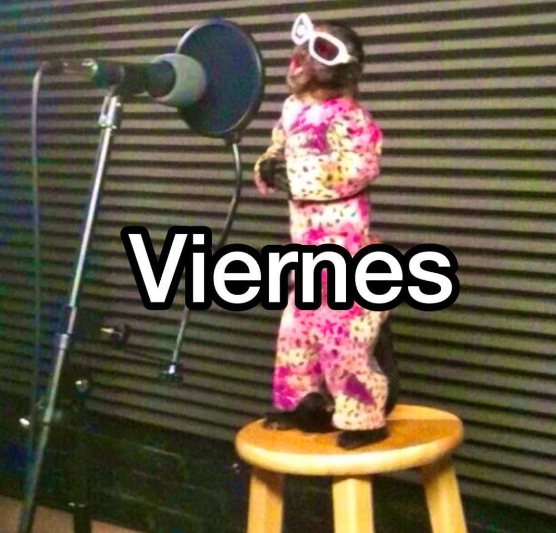 Ornelatm's tweet image. Buen día mis viejones ricos, deliciosos y sabrosos ya se empieza a sentir el viernes. Cuídense y disfruten mucho su finde! 

¡Los amo mil! @ruleiro @eltalcha #Airto 

 #ElMejorPoderoso