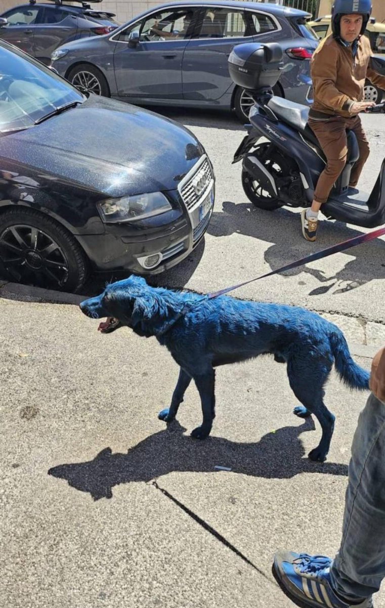 Ora a Piazza Garibaldi..l' anno del terzo scudetto dipinsero monumenti, fontane e colonne..ma ora 😯
ma cos'hanno int'a' cervella ? 
ma stann' bbuon ? 😡👊🖕
..possibile che a Napoli siamo a questi livelli di disagio ? 🤦

<a href="/sscnapoli/">Official SSC Napoli</a> 
<a href="/ComuneNapoli/">Comune di Napoli</a> 
<a href="/napolicittametr/">NACittàMetropolitana</a> 
@Lipu