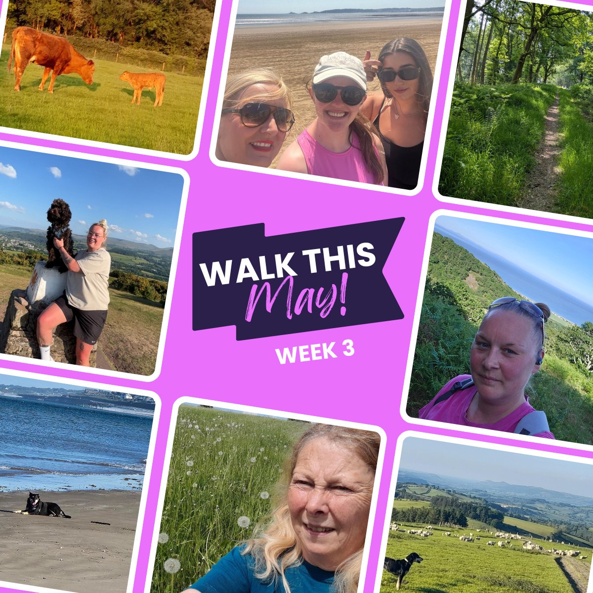 #WalkThisMay Week 3:

🚶#TeamCartrefi has walked a total of 2,675 km this month.

👏Well done, everyone! 

🏅Congrats to Kerriann Evans, our top walker with 162.78 km, and Jean George in 2nd place! 

⏳One week left - let's make those miles count for the final leader board!
