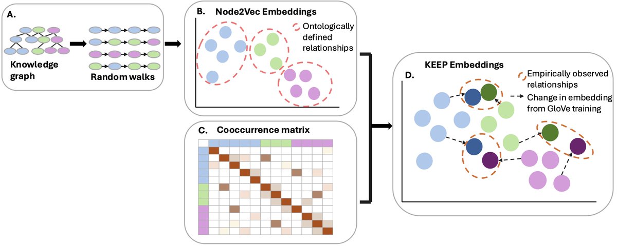 CHILconference's tweet image. Introducing KEEP! A lightweight method that bridges knowledge graphs with real-world data to produce interpretable code embeddings; in our experiments, KEEP outperforms LM embeddings in semantic accuracy and clinical prediction tasks. @gamzeandgursoy 
#CHIL2025papers